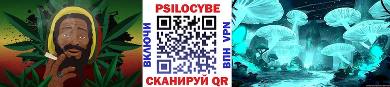мориарти состав  Белая Холуница  Галлюциногенные грибы Psilocybine cubensis  наркота 